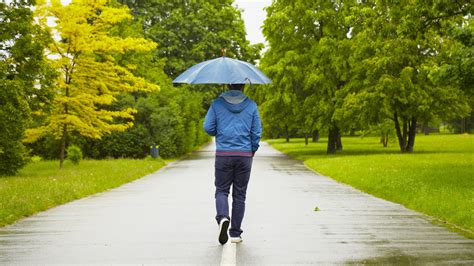 Top 7 tips for walking your dog in the rain. If you’re ready to grab your dog and head out for a nice walk in the rain, here are some tips to help you make the most out of it! Time your walk carefully. Adjust your plan to the rain itself. Use your own comfort as a good guide. Stay away from traffic and busy streets.